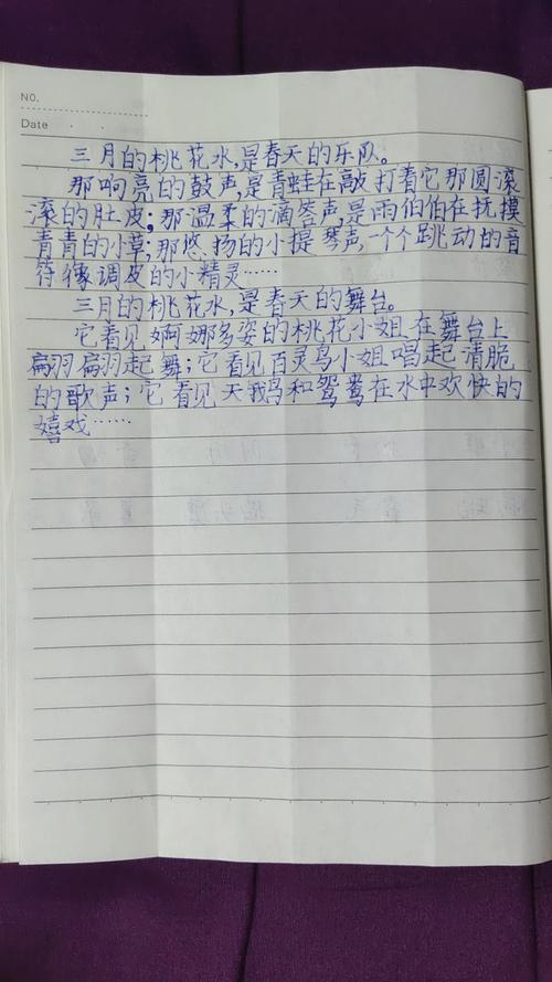 燕山二小1602班《三月桃花水》仿写优秀作品