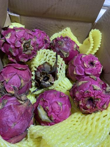 【反馈】jd的火龙果到了,太恶心了,全坏了都有虫.