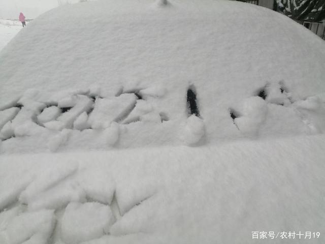 今天是2022年1月4日,河南登封下雪了,也许别的地方甚至整个河南省都