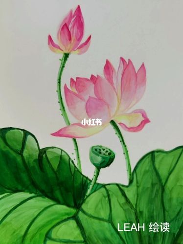 如何用马克笔手绘荷花_马克笔_手绘_佛山攻略_文化