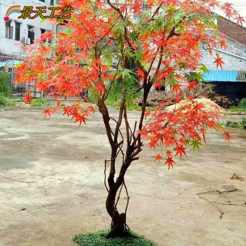 酒店在厅装饰人造红枫树 假枫树松树  材质:实木树干 玻璃钢树干仿真
