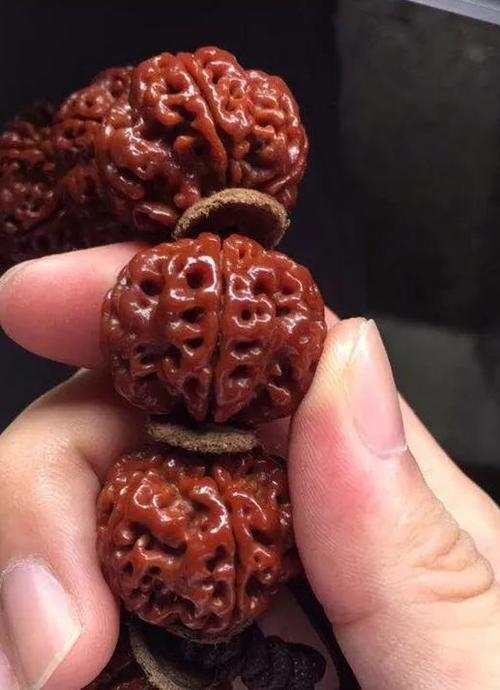 中了金刚菩提的毒,让我从此回不了头