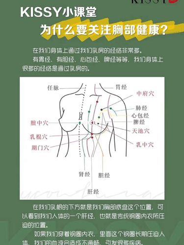 胸部有183个穴位,9条经络通过,每位女性都希望拥有一对挺拔丰满的乳房