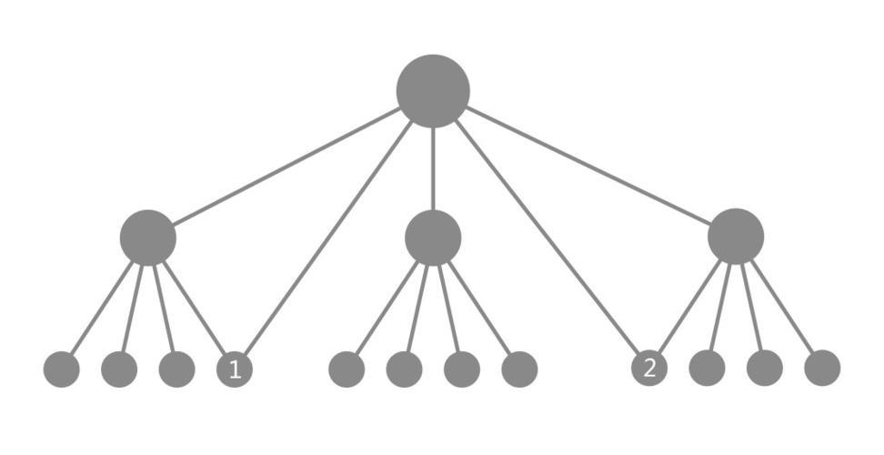  a target="_blank" href="/item/树形/7312514" data-lemmaid="