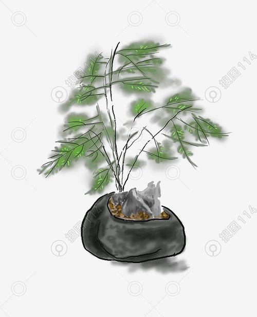 中国水墨手绘文竹