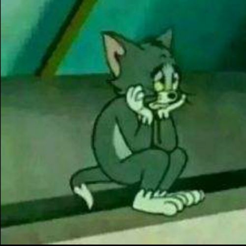 汤姆猫可爱头像表情包