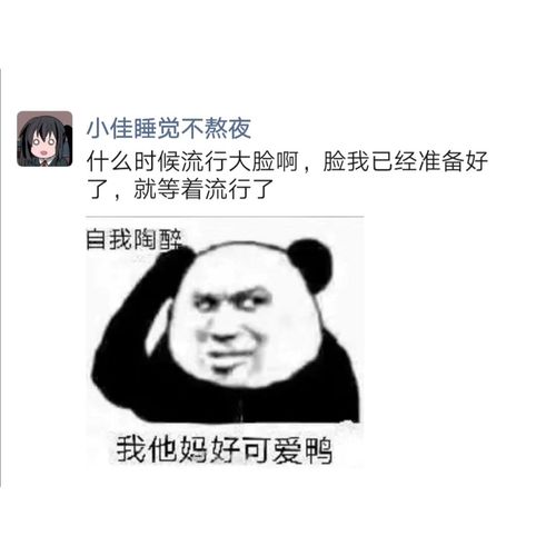 可爱女生的自拍必备文案(一)_熬夜_自拍_表情包_美女