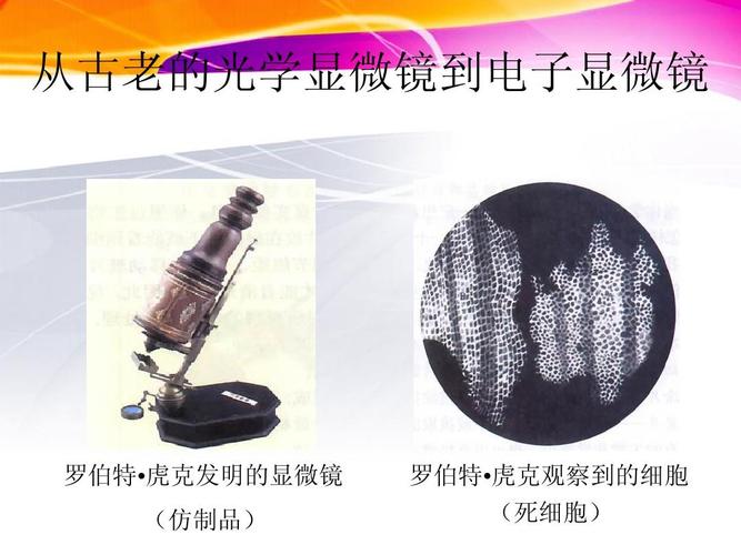 从古老的光学显微镜到电子显微镜 罗伯特 虎克发明的显微镜 (仿制品)