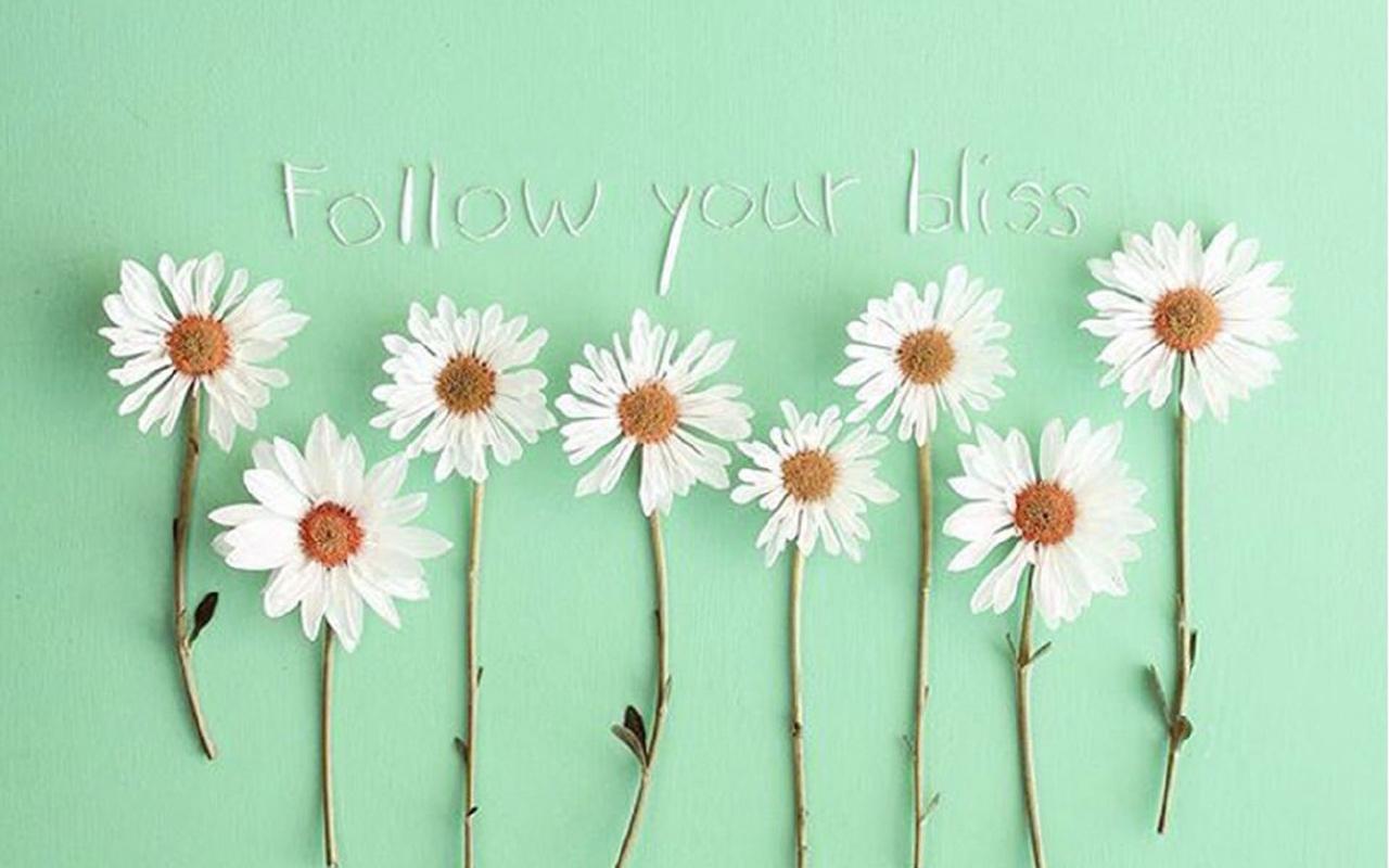 小清新绿色背景创意图片桌面壁纸