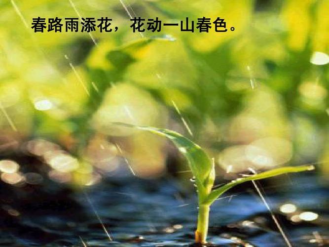 春路雨添花,花动一山春色.