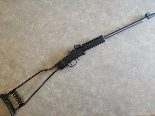 两百美元都不用简单到极致的意大利生存步枪齐亚帕小獾