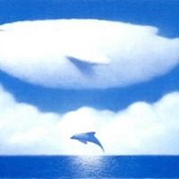 会飞鲸鱼头像高清_微信头像图片大全