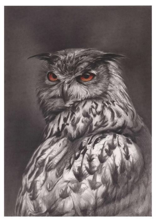 【精微素描】:原来素描还可以画的如此细致!