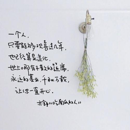 亦舒语录 文字手写