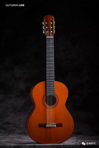guitarera live 世界名琴展览会 | 2018.5.18-20 重庆