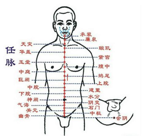 任督二脉真的需要打通吗?其实本来就是通的