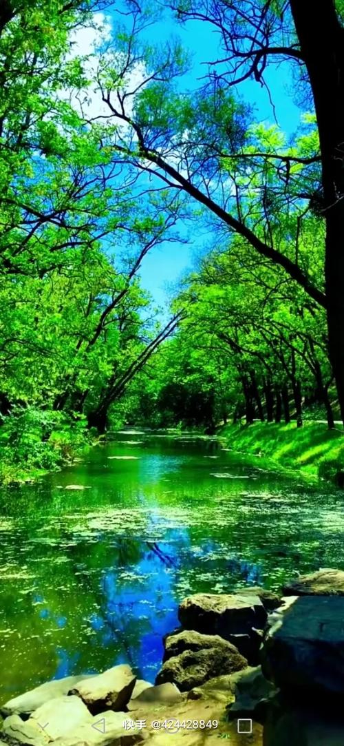 美丽的风景图片