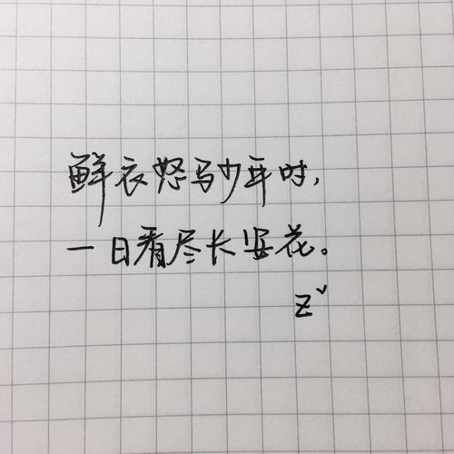 鲜衣怒马少年时一日看尽长安花
