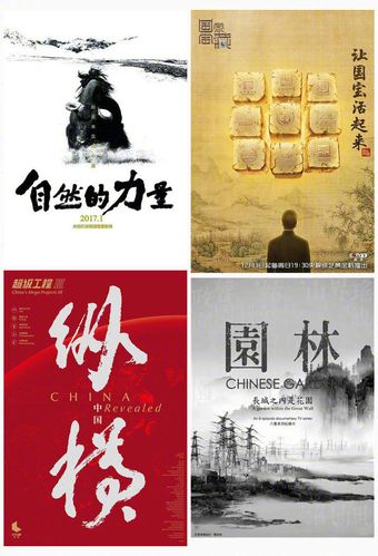 央视纪录片海报设计一组