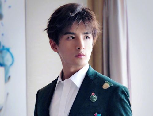 至上励合张远的女朋友是谁昔日八卦绯闻恋情遭深扒