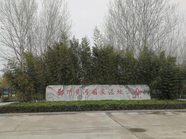 繁华过后,郑州黄河国家湿地公园一片凄凉,垃圾遍地,栈道残破