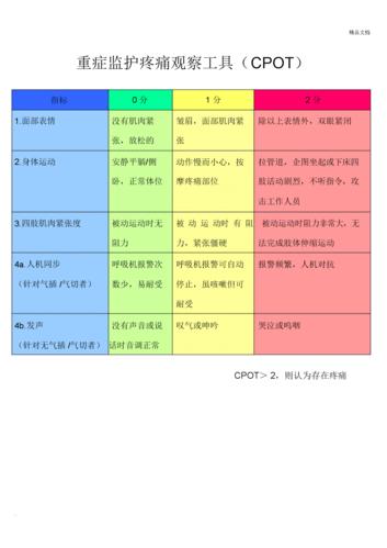 重症监护疼痛观察工具cpot.docx 1页