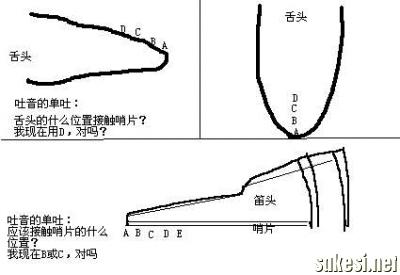  a href="#" data-lemmaid="135604">颤音 /a>,吐音,超吹方面,又有它