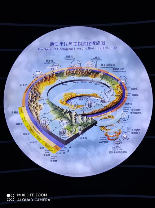 地质年代与生物演化螺旋图
