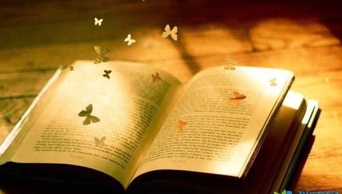 书籍是人类进步的阶梯,读书使人明智,读书使人文明,读书人明理,读书