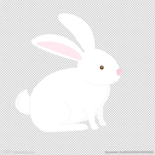 卡通兔子图片