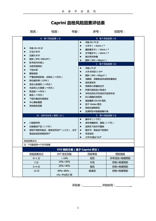 caprini危险因素评分.doc 1页
