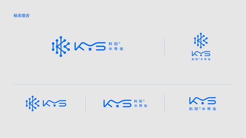 科阳半导体 标志方案
