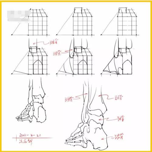 在速写中,脚的表现紧次于手部的刻画,脚的结构比较复杂,我们大体可以