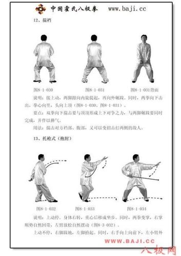 [转载]八极小架(套路)--李树栋老师演练,转自霍氏八极拳网