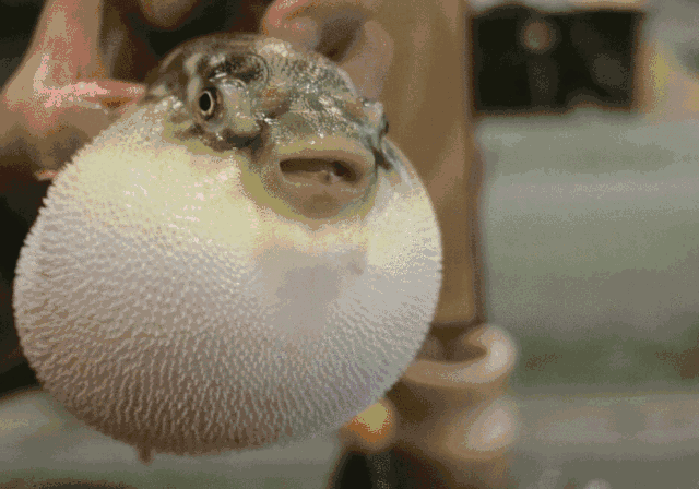 怪事男子只要想到酸辣美食下巴就鼓如河豚