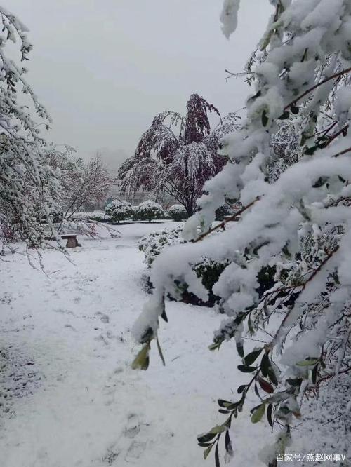 冀南西部山区春雪飞临景色宜人