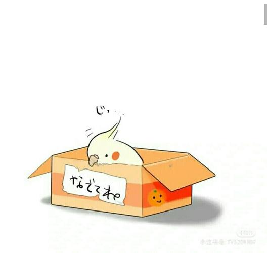 可爱的小鹦鹉头像_鹦鹉_头像_素材_头像