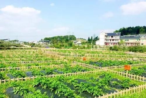 天猫3亿元再投易果生鲜;腾讯投资英国vr游戏开发商,继续扩张海外版图