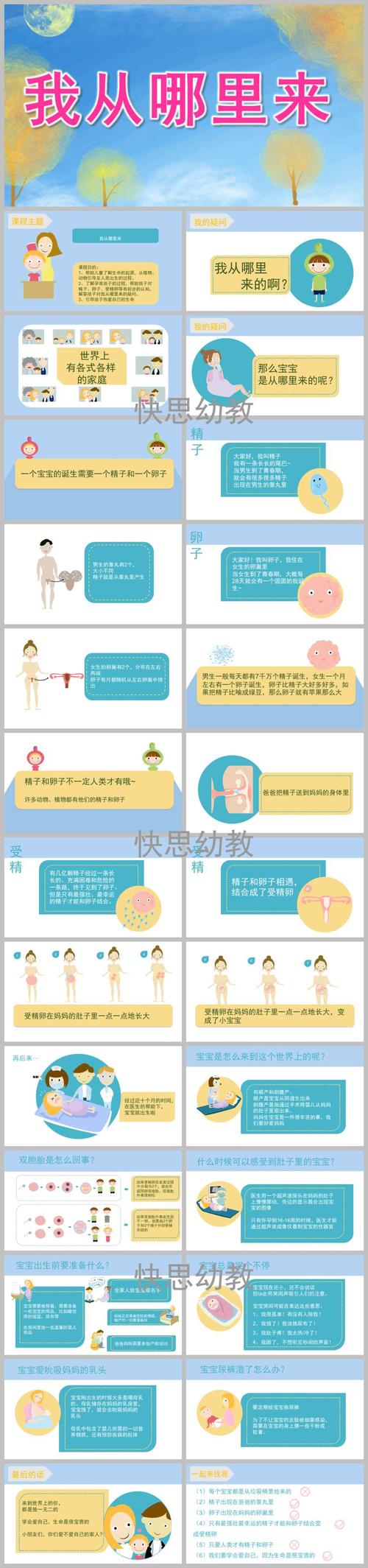 幼儿园活动《我从哪里来》ppt课件教案