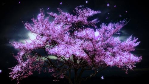 梦幻樱花飘落唯美浪漫婚礼夜景