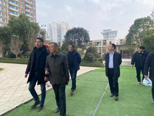 副县长张伟莅临花垣碧桂园项目视察指导工作