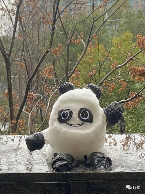 杭州人实现自制冰墩墩自由刚刚又下雪明早起来能看到积雪吗