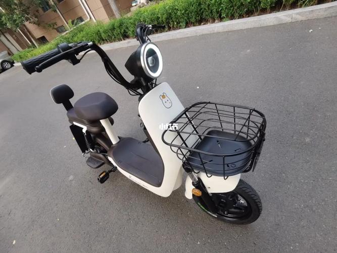 喜提新车——爱玛小熊