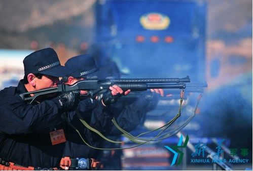 "枪迷"福利来了:速来围观国产靓枪(9)