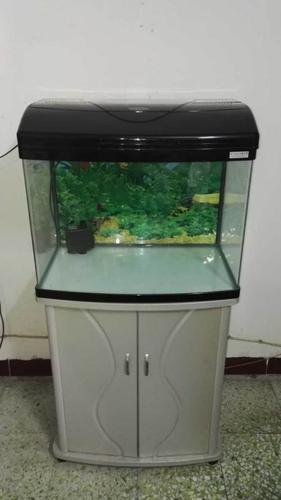 转让闲置鱼缸连柜,送所有配件