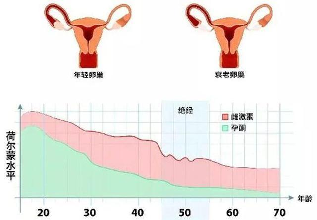 我国女性平均绝经年龄是多大不妨对照自查一下你有没有拖后腿