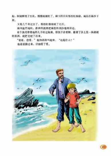 关于琥珀课文的手抄报 语文的手抄报