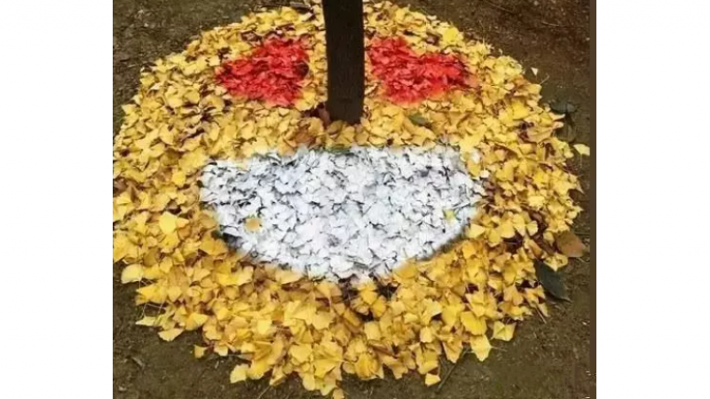 【有趣】银杏版emoji表情包