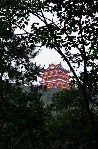 小溪塔森林公园20160626