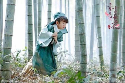 《三生三世十里桃花》播放量破170亿,原因是.